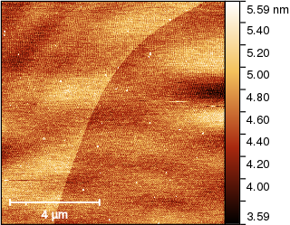 Image after row alignment
